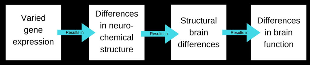 Altered gene expression |Thriving with ADHD